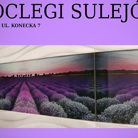 Noclegi Сулеюв Екстер'єр фото