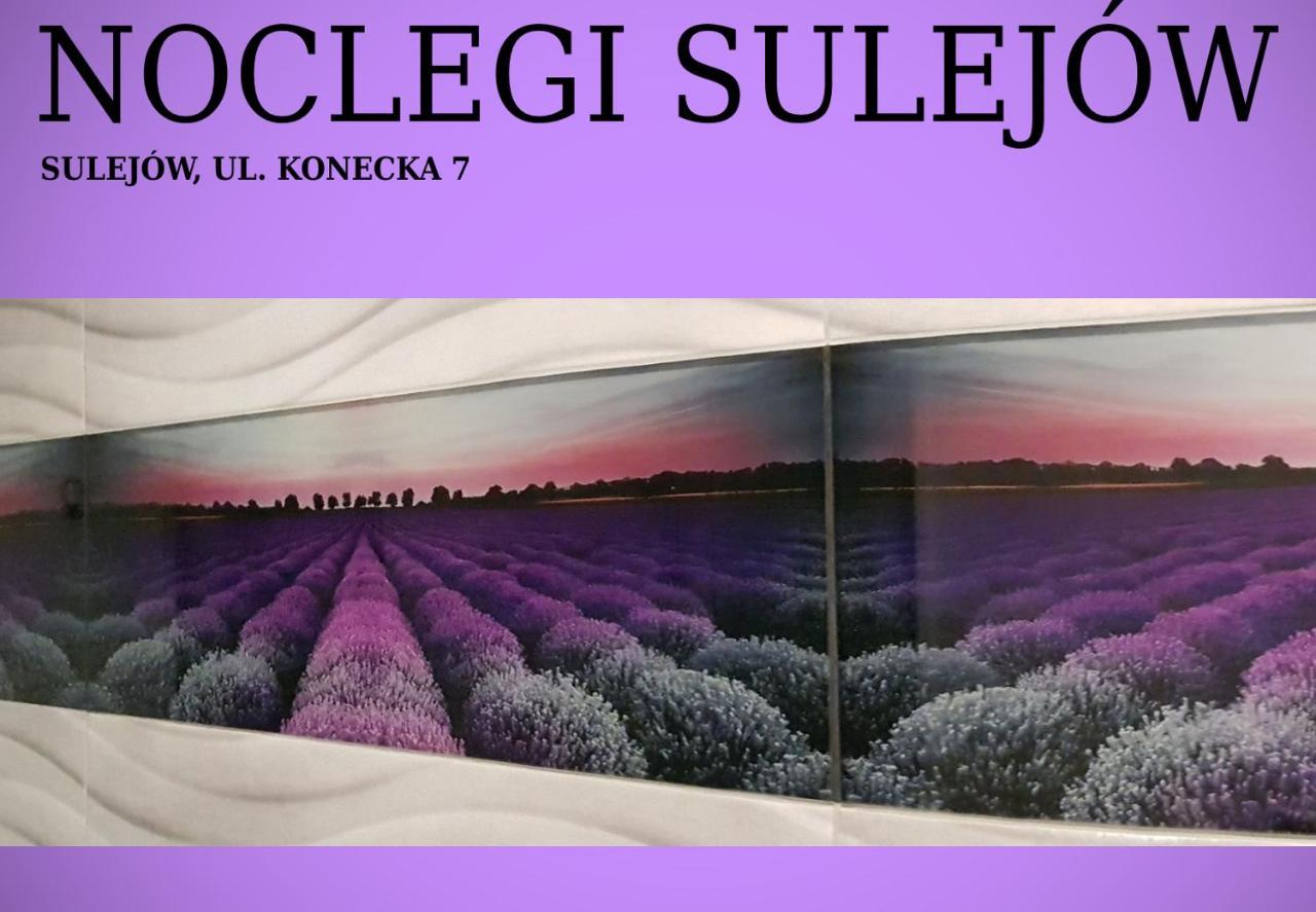 Noclegi Сулеюв Екстер'єр фото
